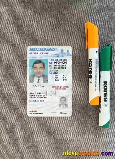USA Michigan driving license photolook